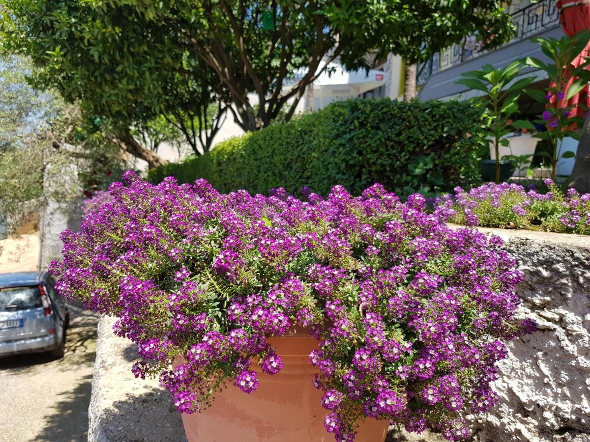 Meminaj Sea View And Garden